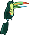 a toucan sitting on a tree branch