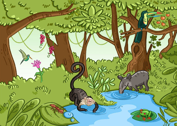 illustration of the rainforest