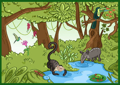 illustration of rainforest scene with animals drinking water and eating